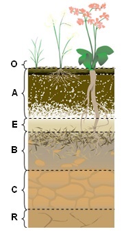 bodemlagen schema 02